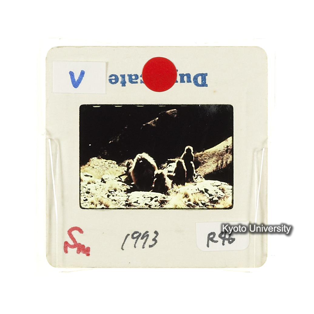 Sm　1973　R46　●[赤色シール] (2)