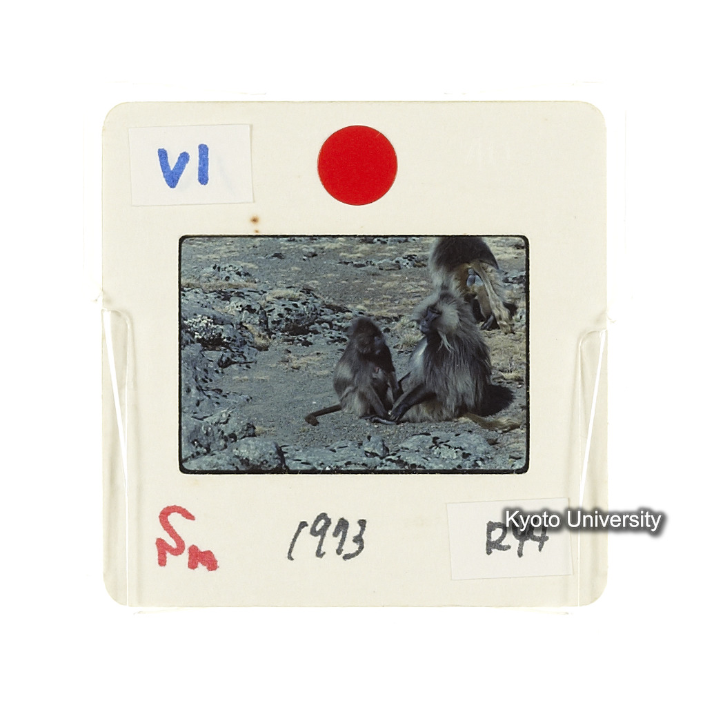 Sm　1973　R44　●[赤色シール] (2)