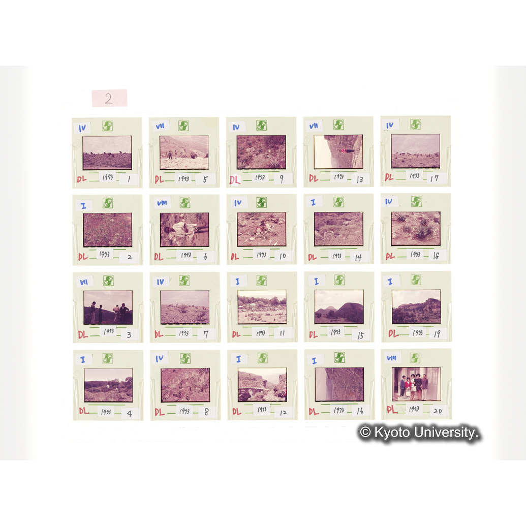 [スライドシート] 2 (1)