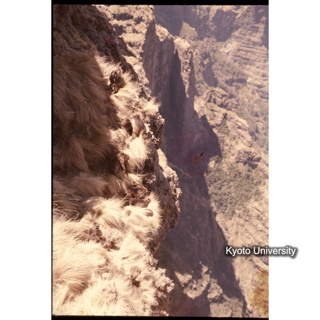 Sm　1973　1519 (1)