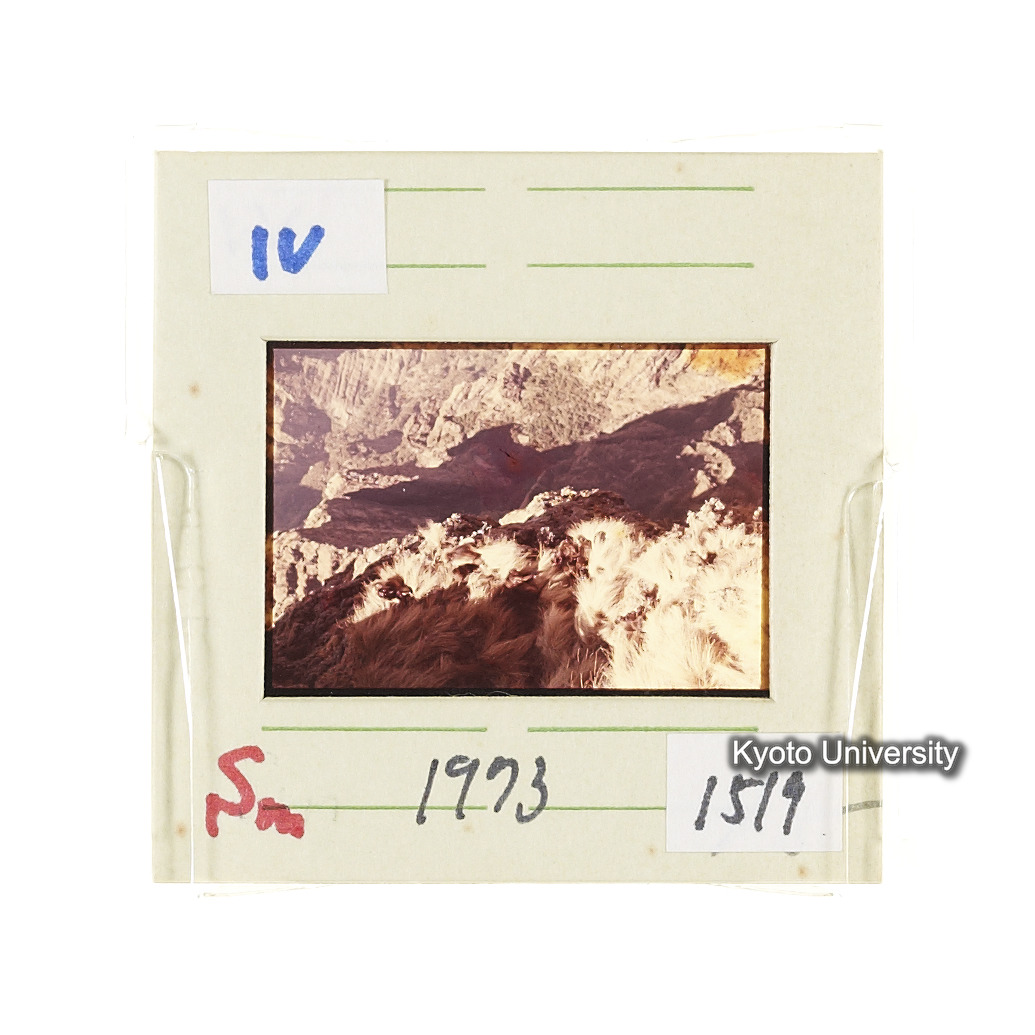 Sm　1973　1519 (2)