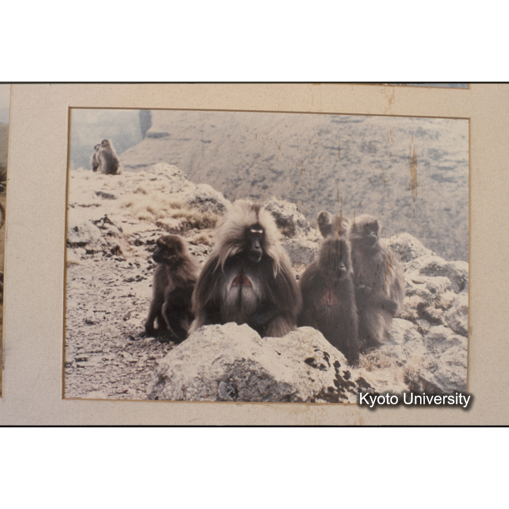 Sm　1973　1487 (1)