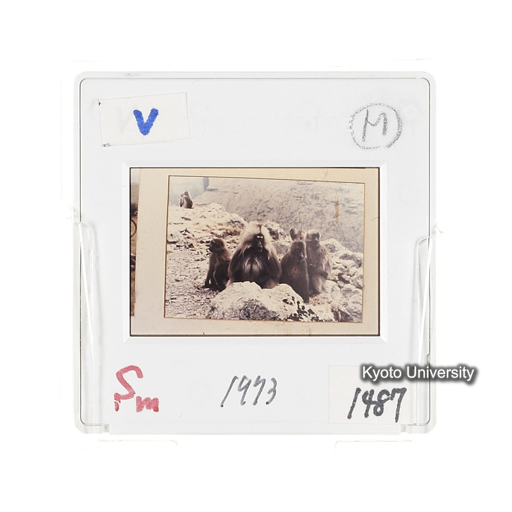 Sm　1973　1487 (2)