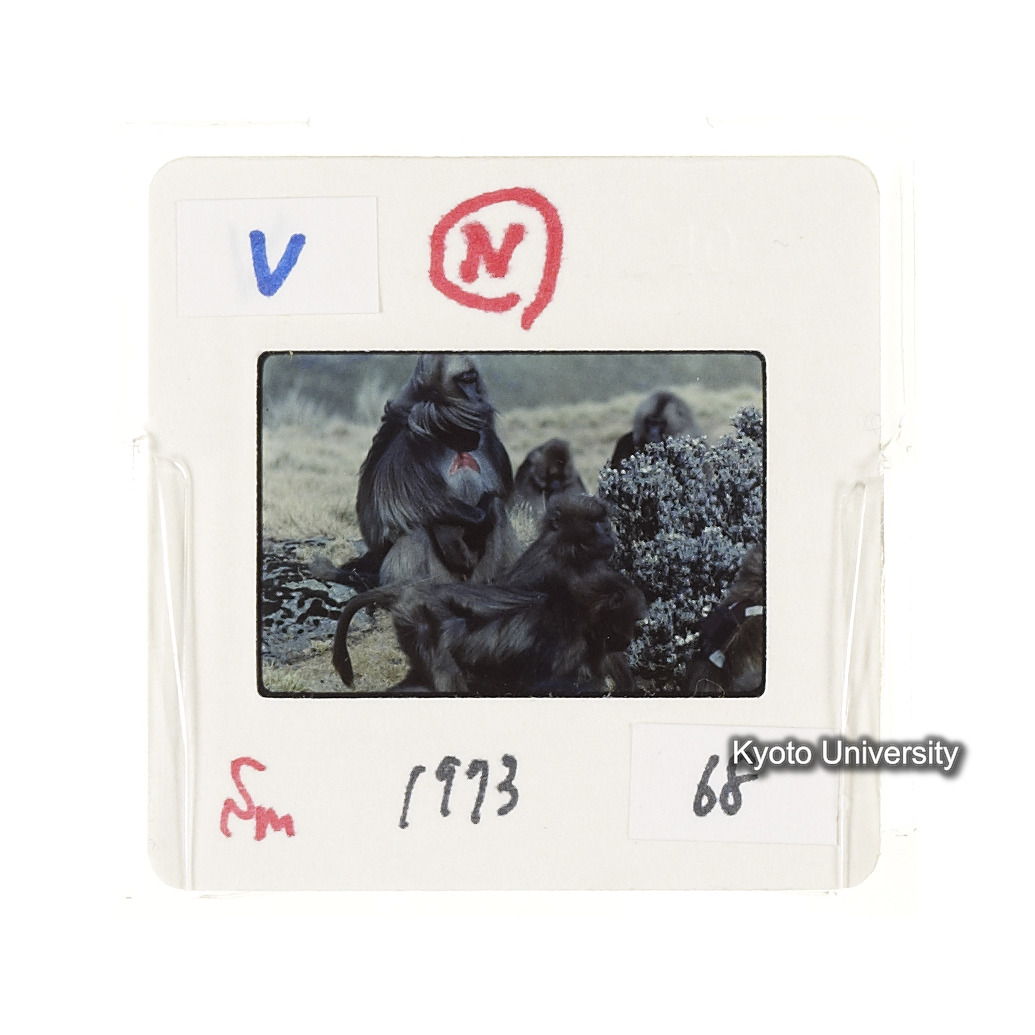 Sm　1973　68　（N）[赤色, 丸囲み] (2)