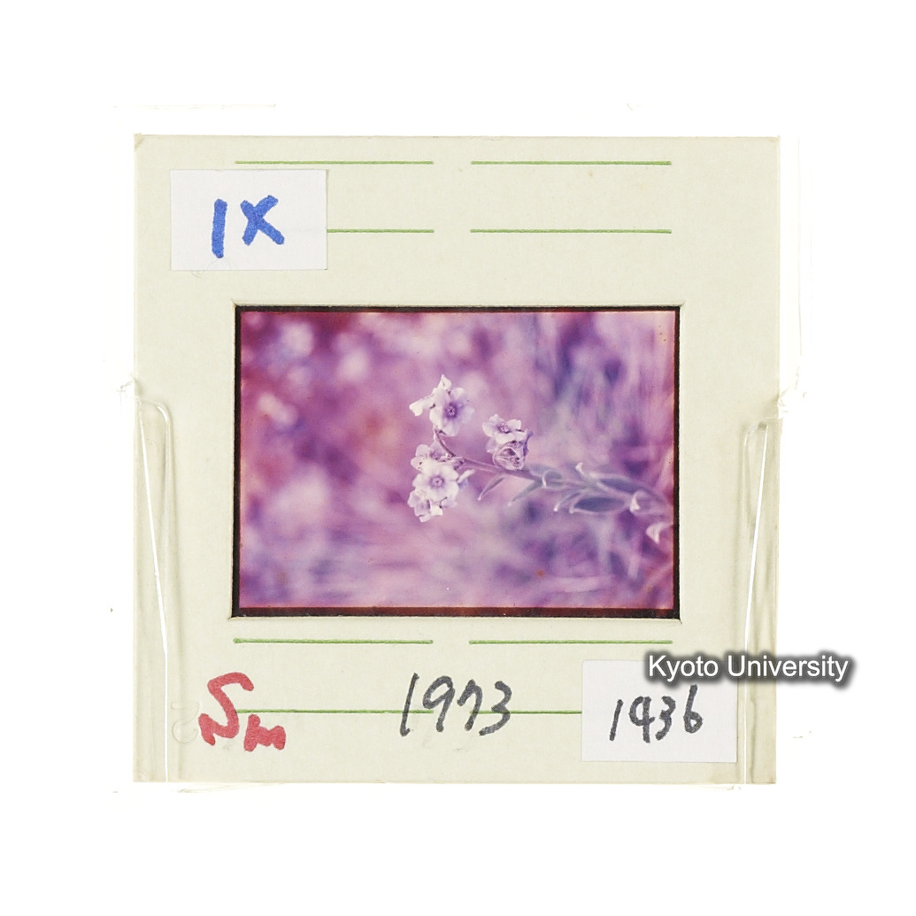 Sm　1973　1436 (2)