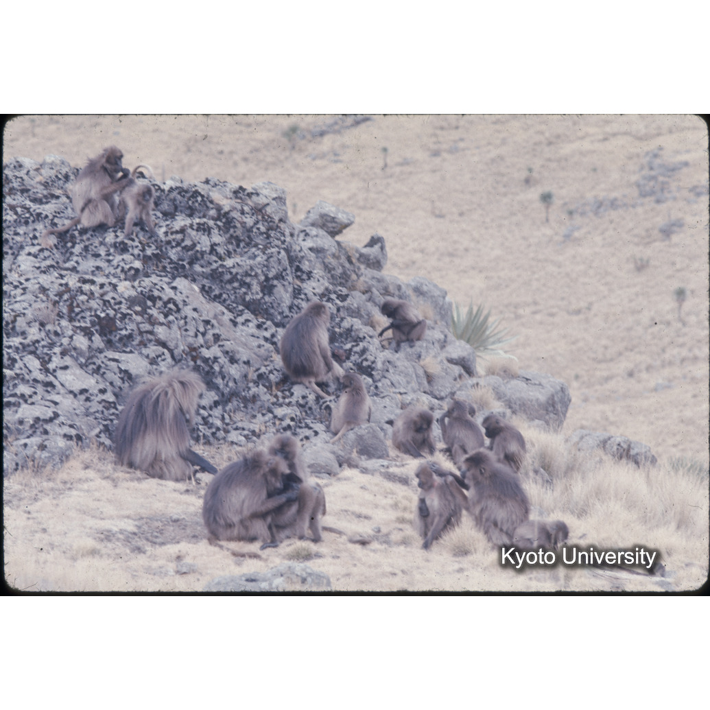 Sm　1973　1537 (1)