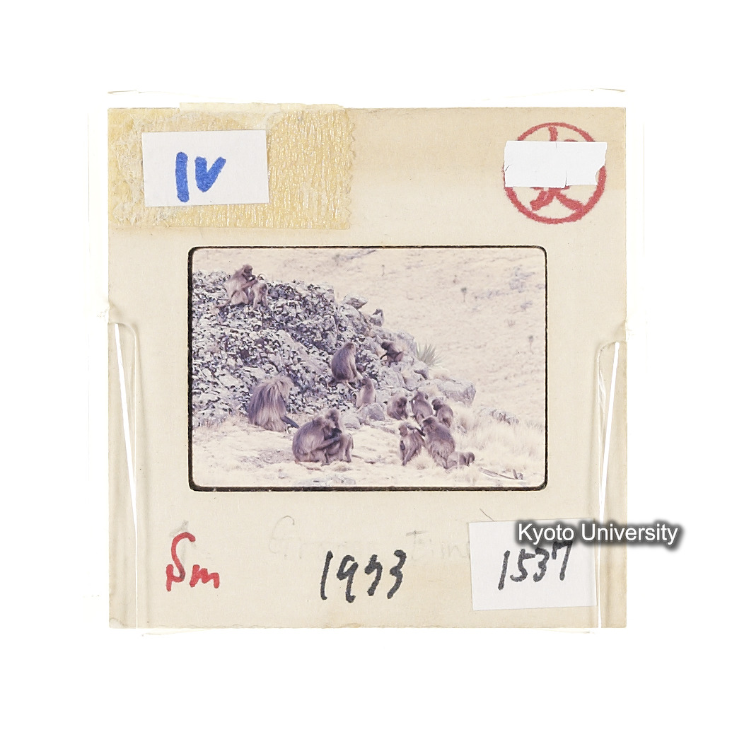 Sm　1973　1537 (2)