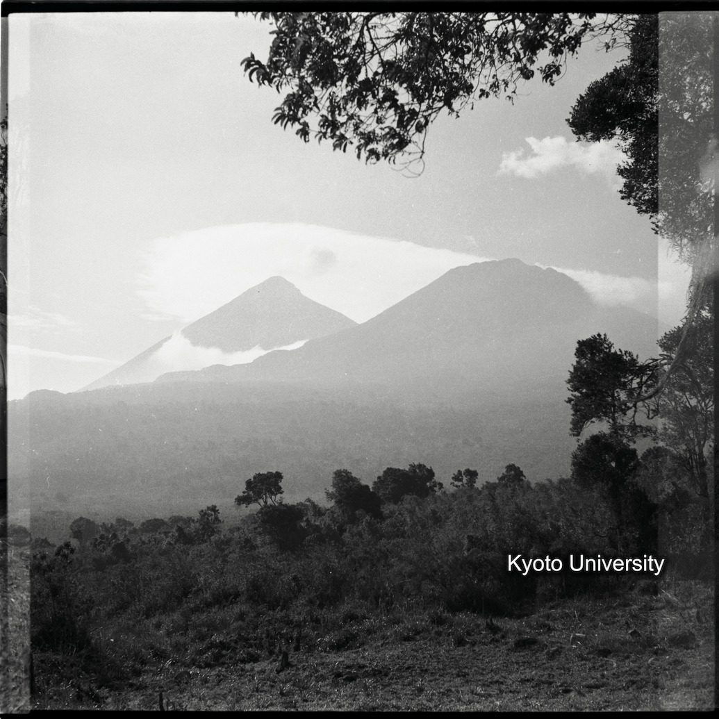 [2コマ目]「ムハブラのムガヒンガ」 (1)