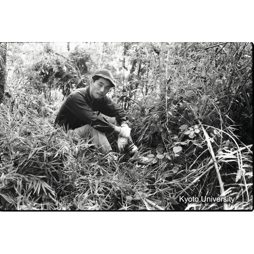 [2コマ目]「ネストの上にのる」 (1)