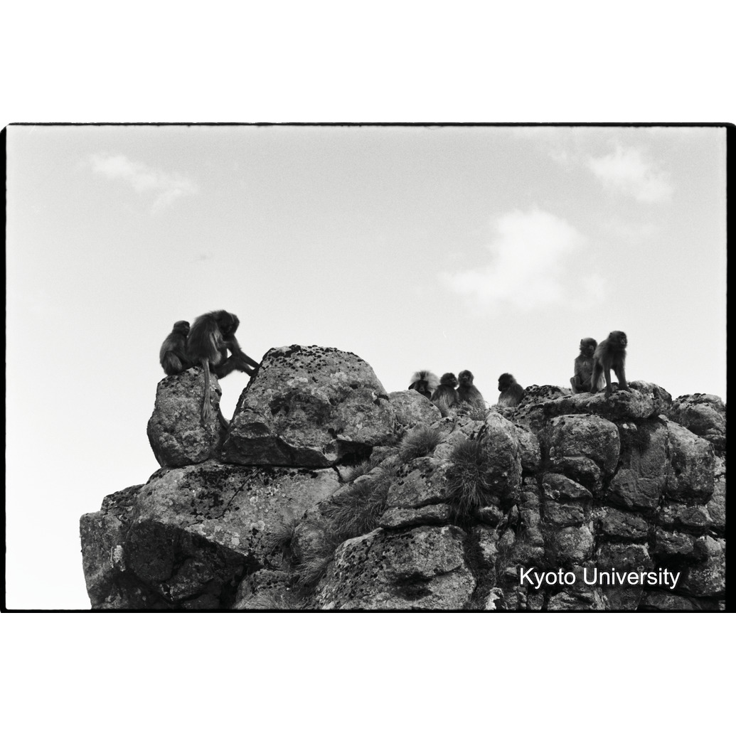 [１７コマ目]「コドモグループ（２）」 (1)