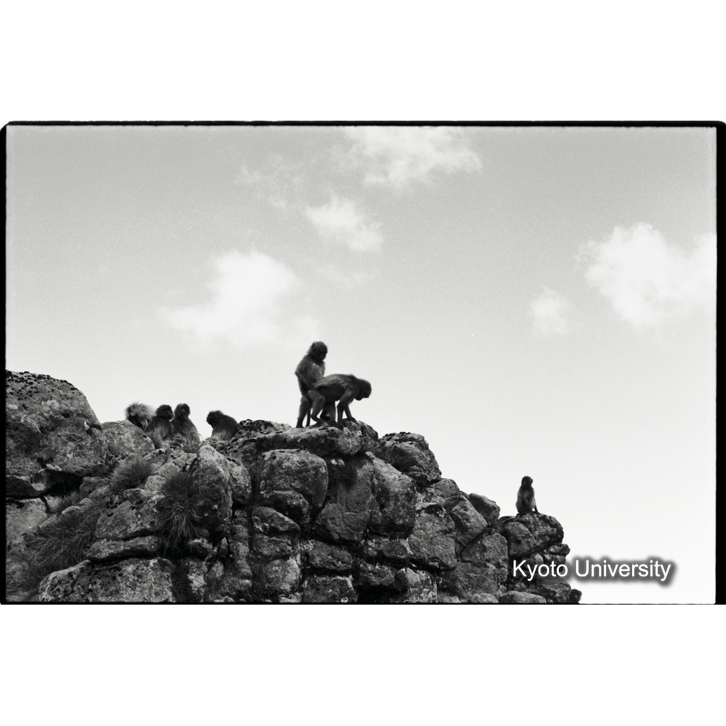 [１８コマ目]「マウンティング」 (1)