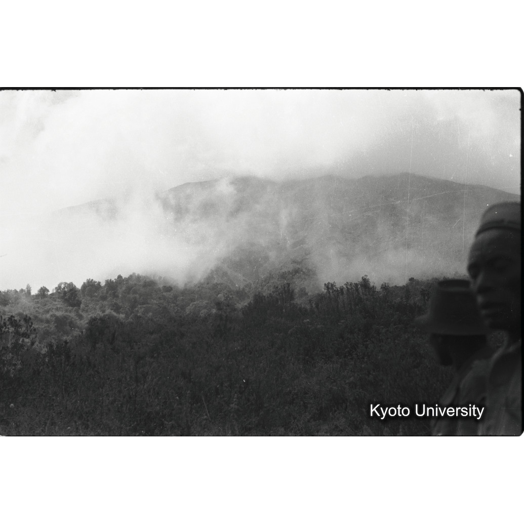 [２コマ目]「×」 (1)