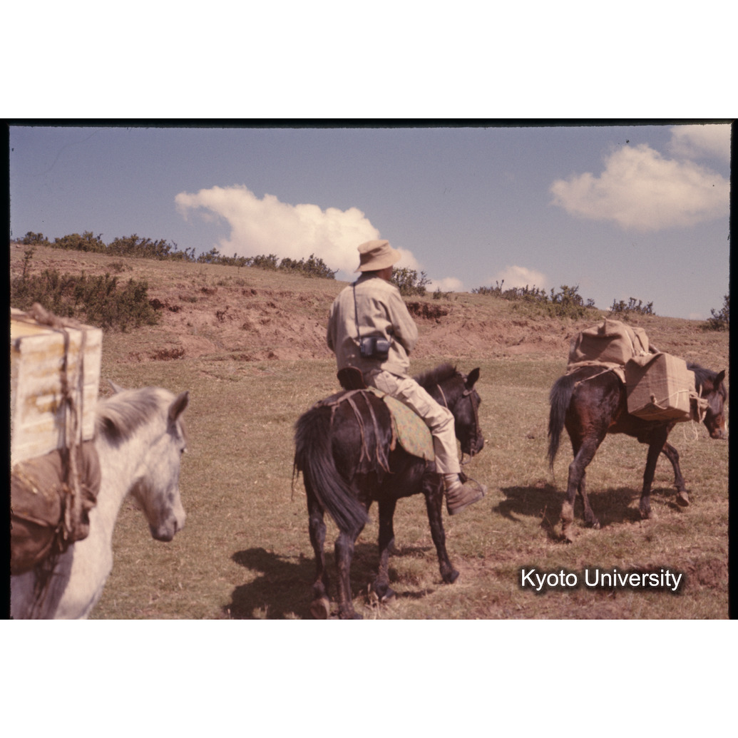 Sm　1973　1082 (1)