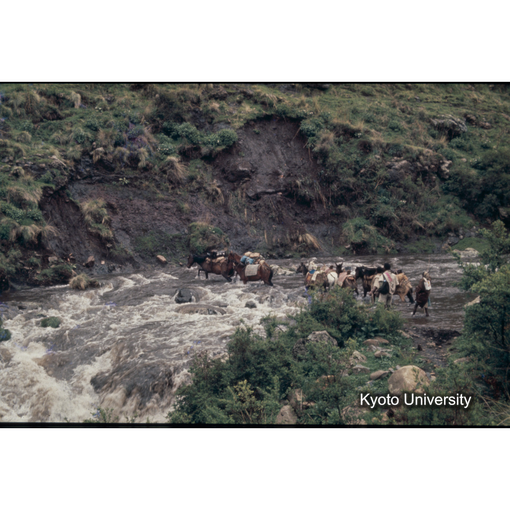 Sm　1973　R3　●[赤色シール] (1)