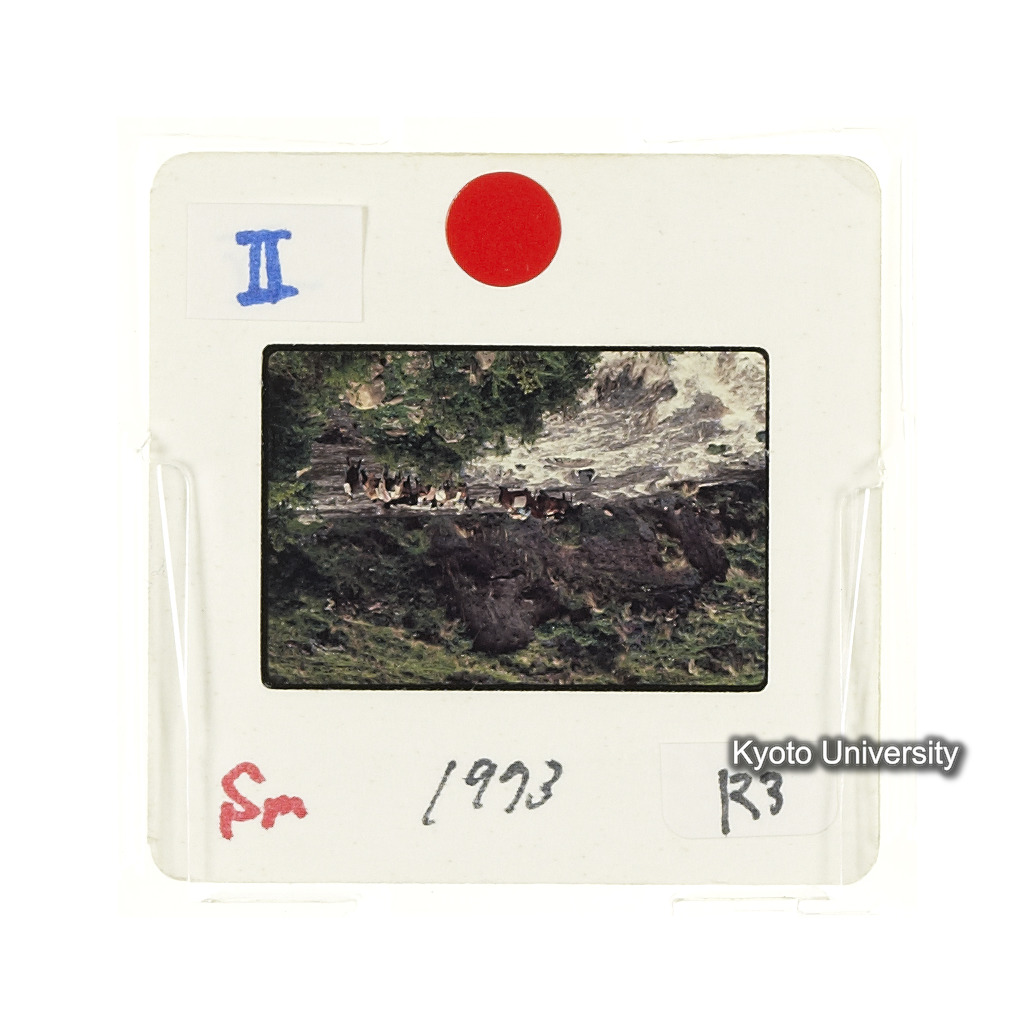 Sm　1973　R3　●[赤色シール] (2)