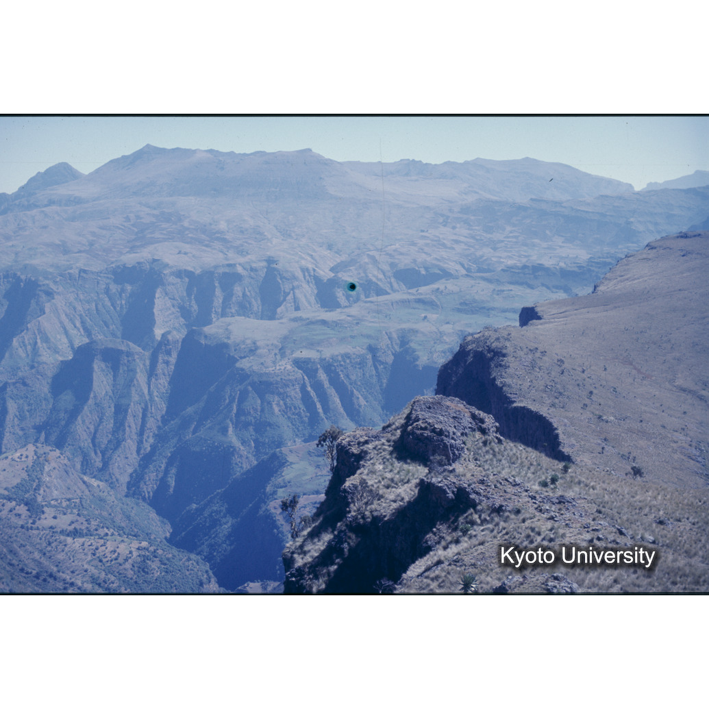 Sm　1973　R6　●[赤色シール] (1)