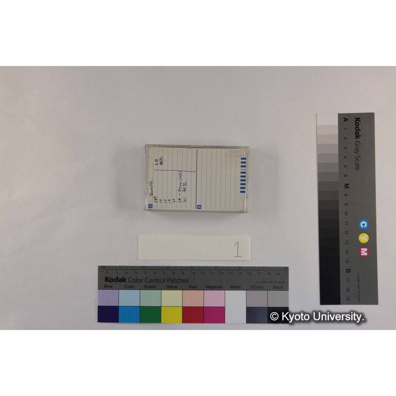[ケース]1「ゴリラ咆哮」（コピー） (2)