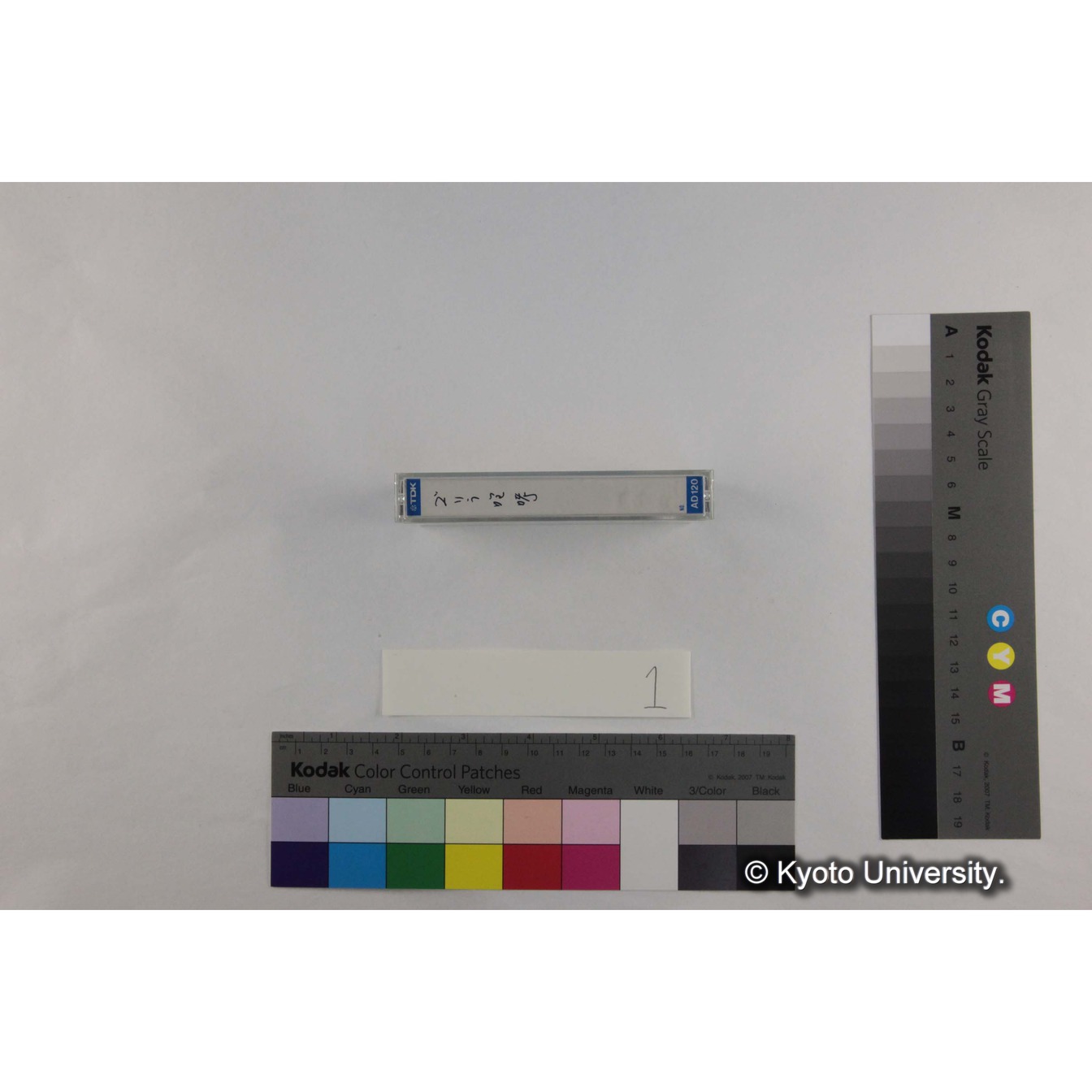 [ケース]1「ゴリラ咆哮」（コピー） (3)