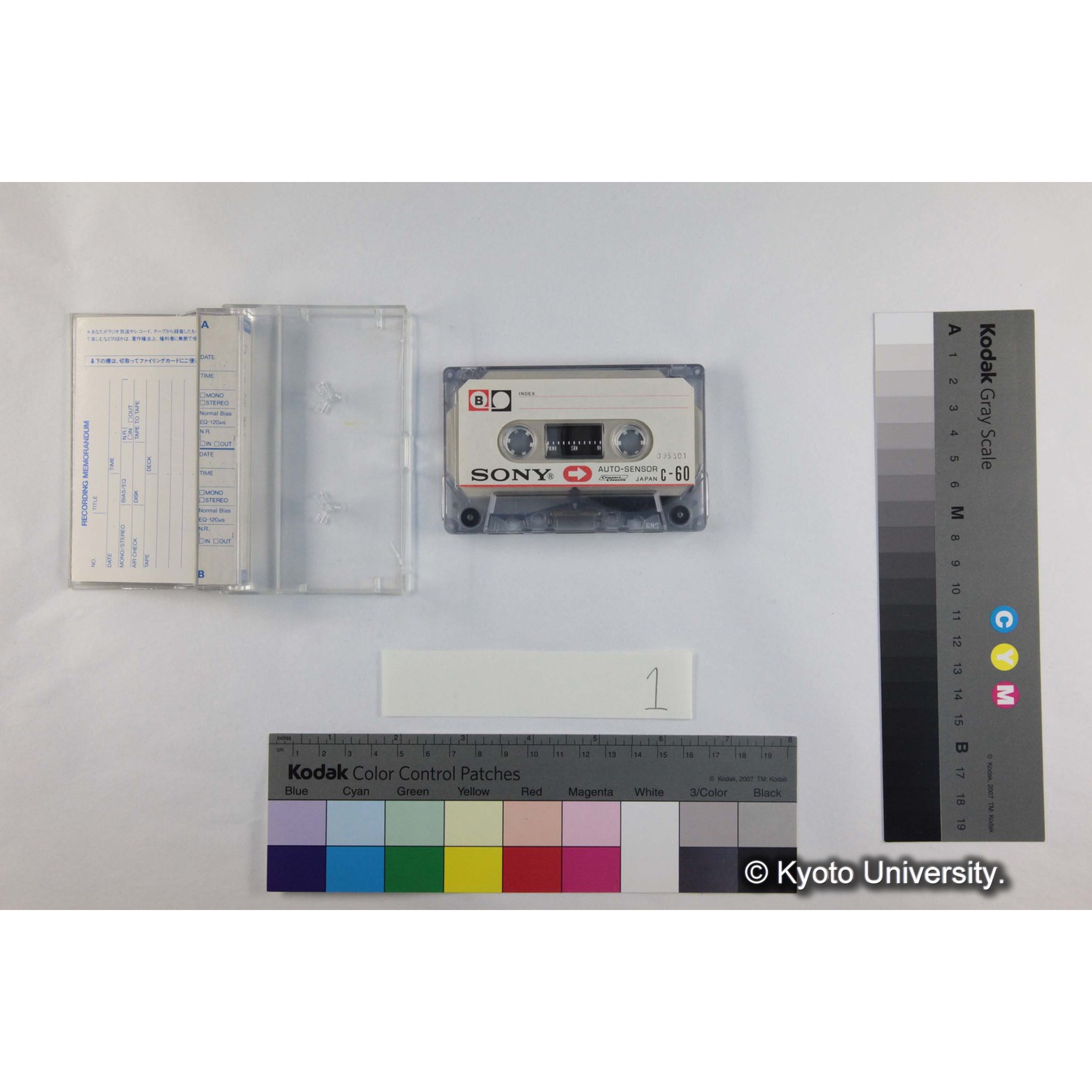 [ケース]1「ゴリラ咆哮」（コピー） (4)