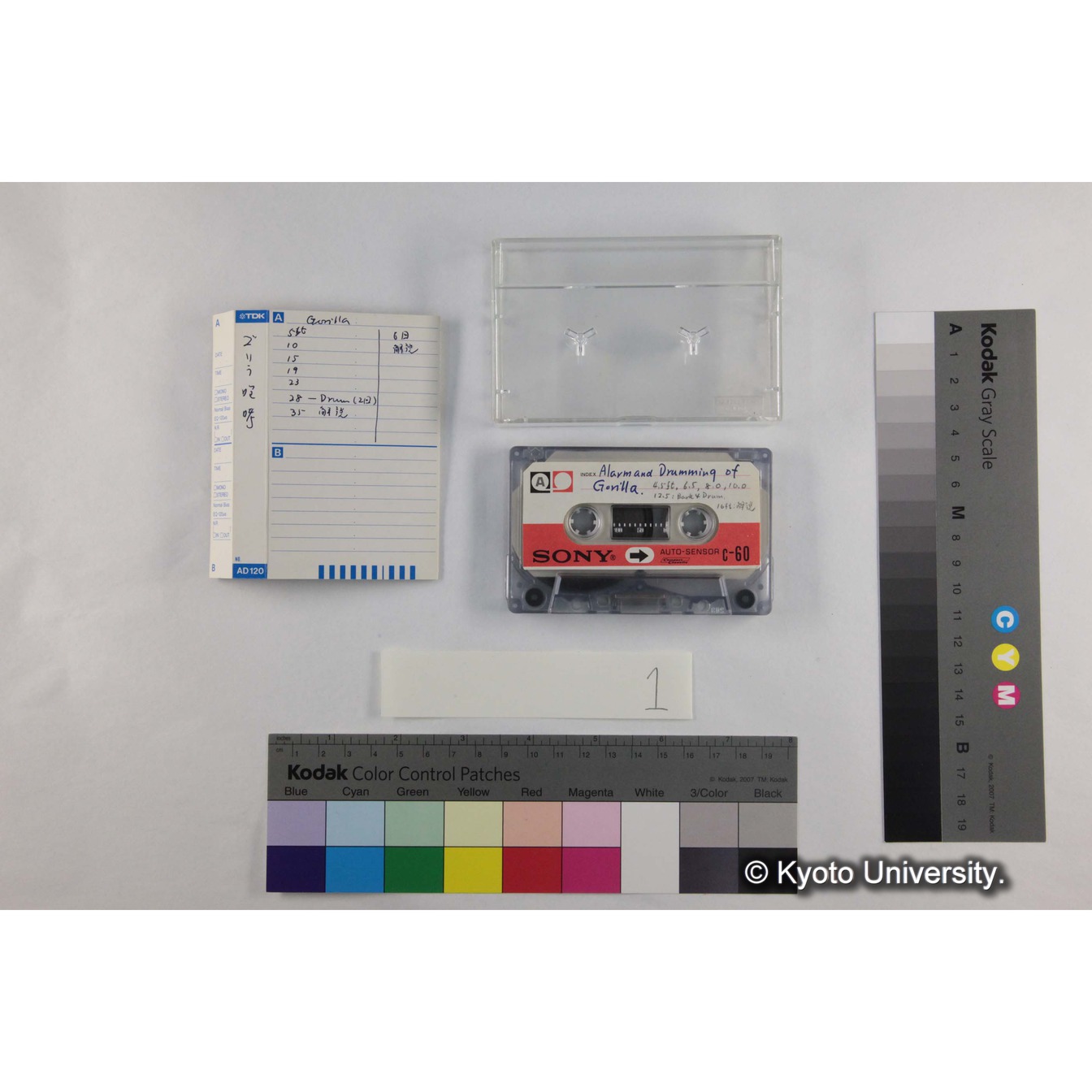 [ケース]1「ゴリラ咆哮」（コピー） (5)