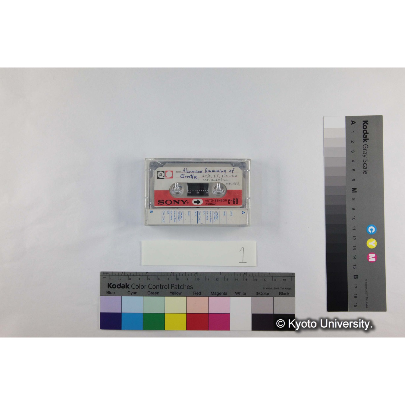 [ケース]1「ゴリラ咆哮」（コピー） (6)