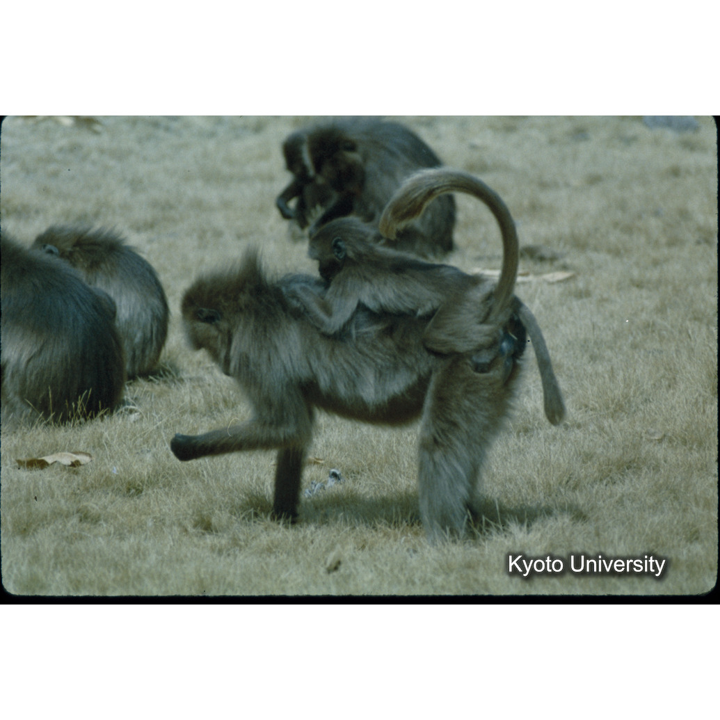 Sm　1973　67　（N）[赤色, 丸囲み] (1)