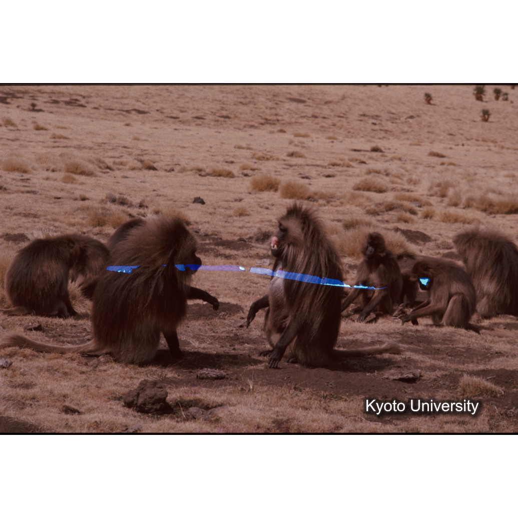 Sm　1973　69　（N）[赤色, 丸囲み] (1)