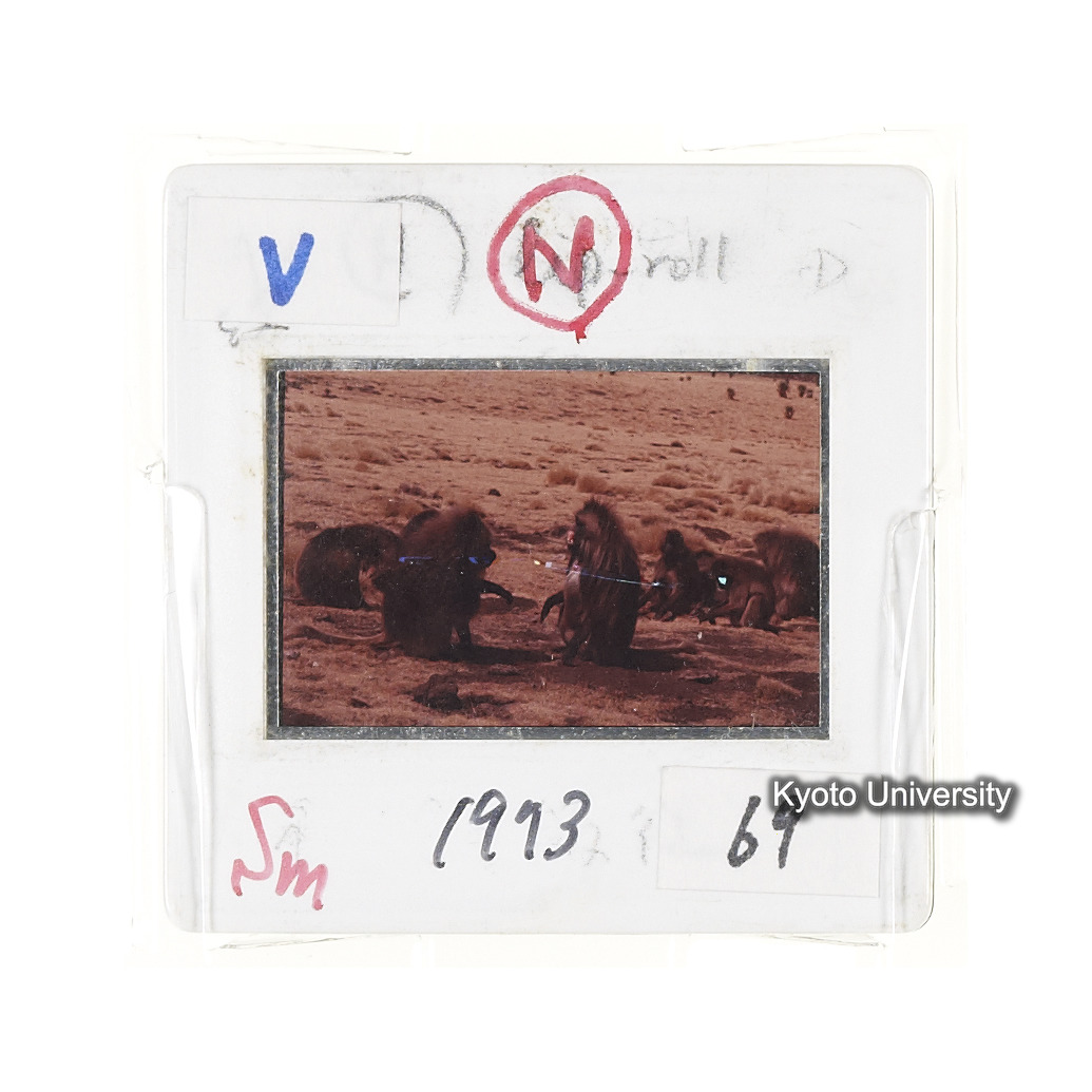 Sm　1973　69　（N）[赤色, 丸囲み] (2)