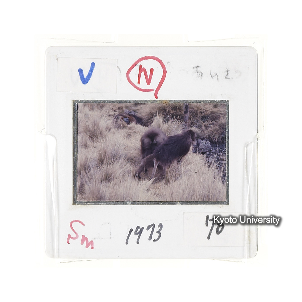 Sm　1973　70　（N）[赤色, 丸囲み] (2)