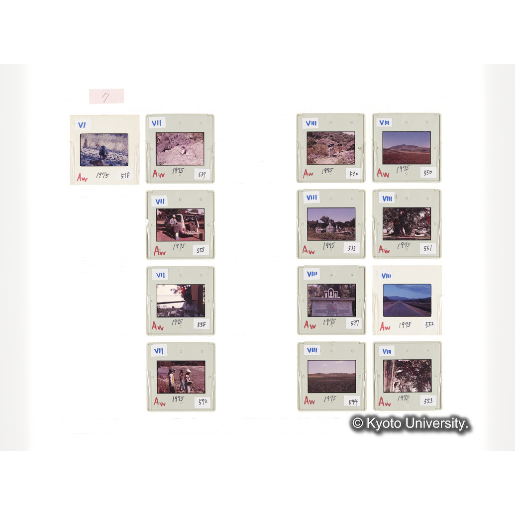 [スライドシート] 7 (1)