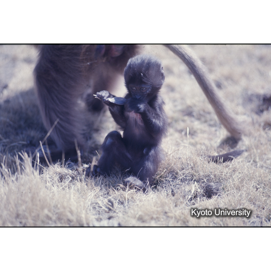 Sm　1973　1422 (1)