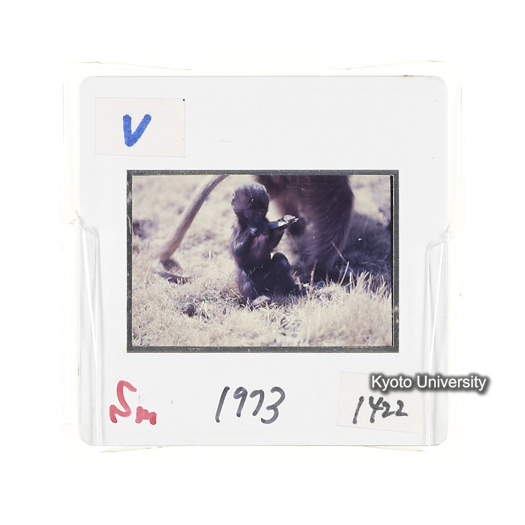 Sm　1973　1422 (2)