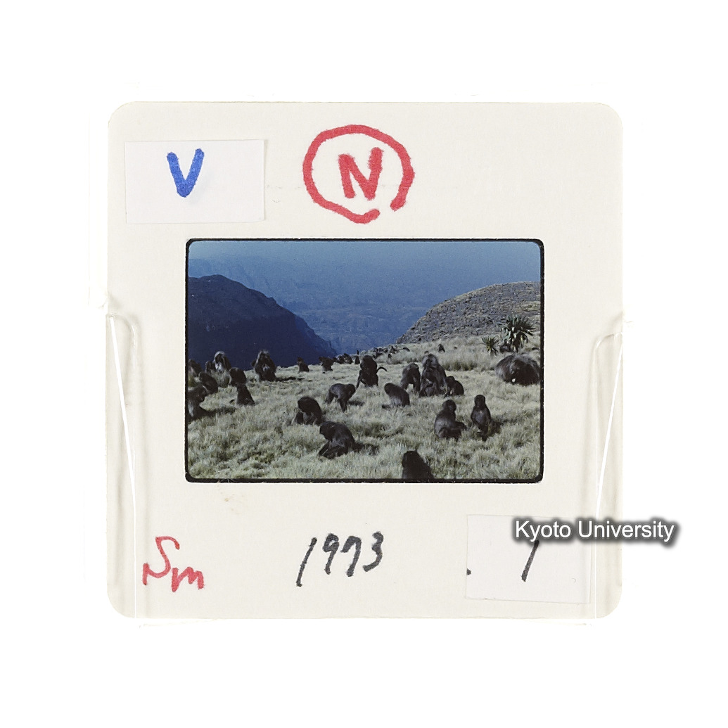 Sm　1973　1　（N）[赤色, 丸囲み] (2)