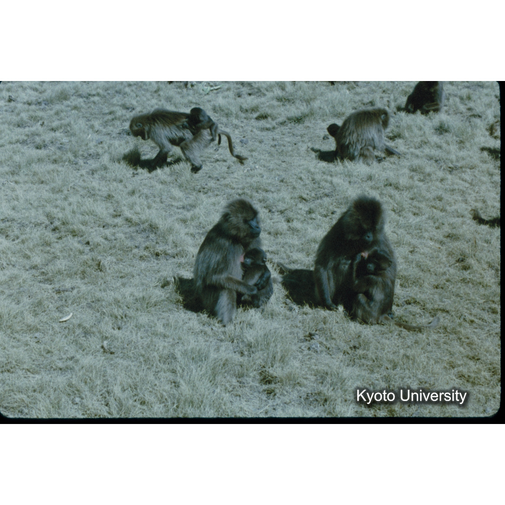 Sm　1973　59　（N）[赤色, 丸囲み] (1)