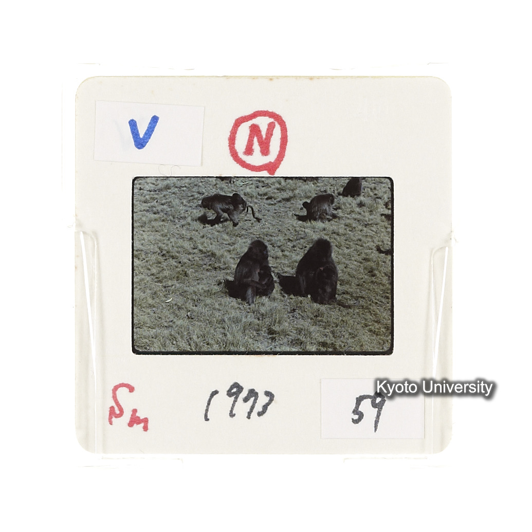 Sm　1973　59　（N）[赤色, 丸囲み] (2)