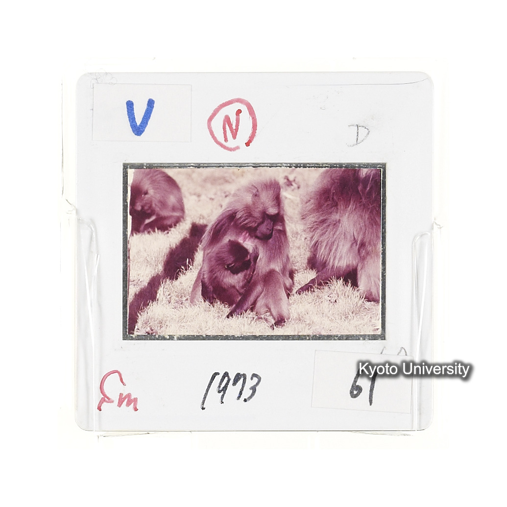 Sm　1973　61　（N）[赤色, 丸囲み] (2)