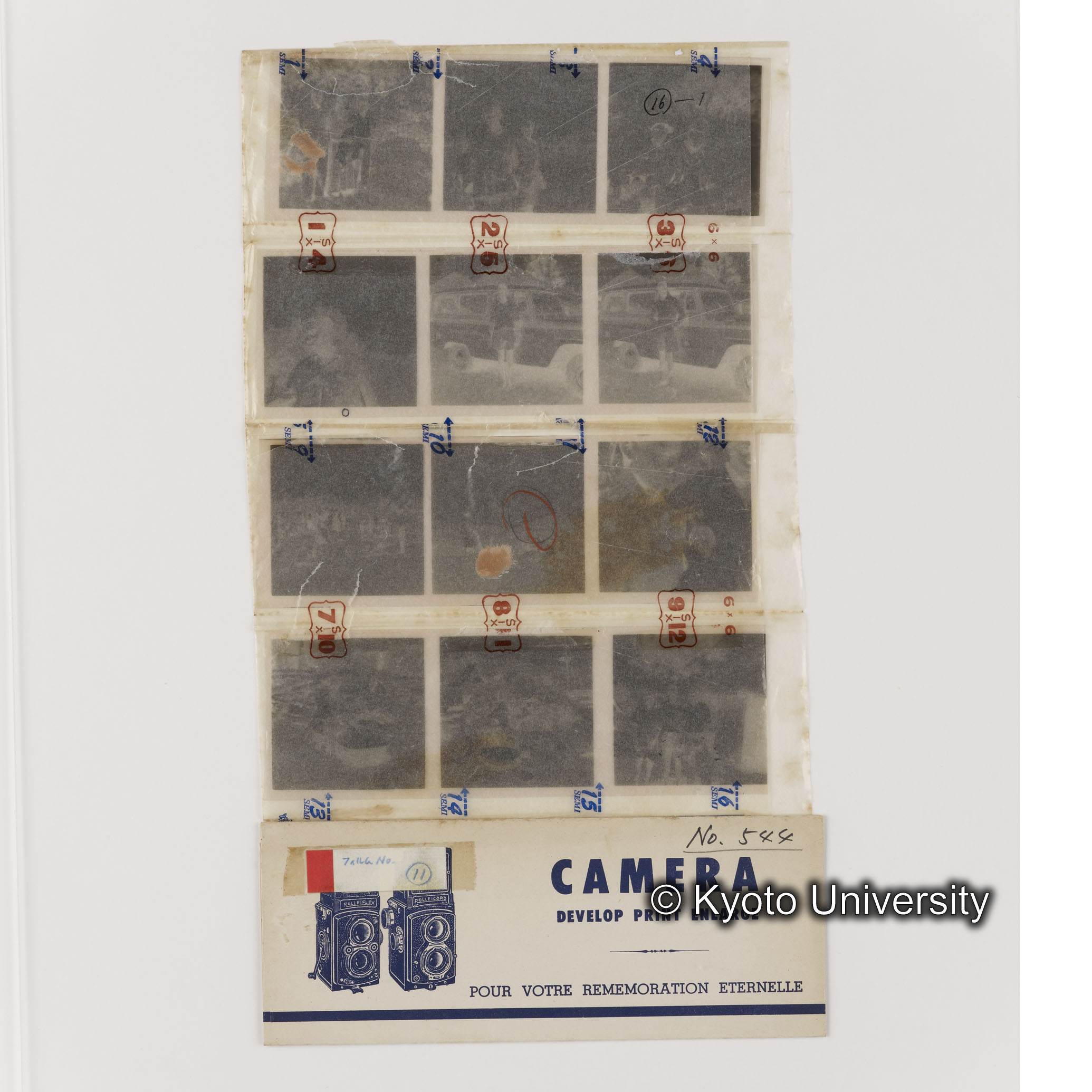 [ネガフィルムスリーブ12]「５４４」 (1)