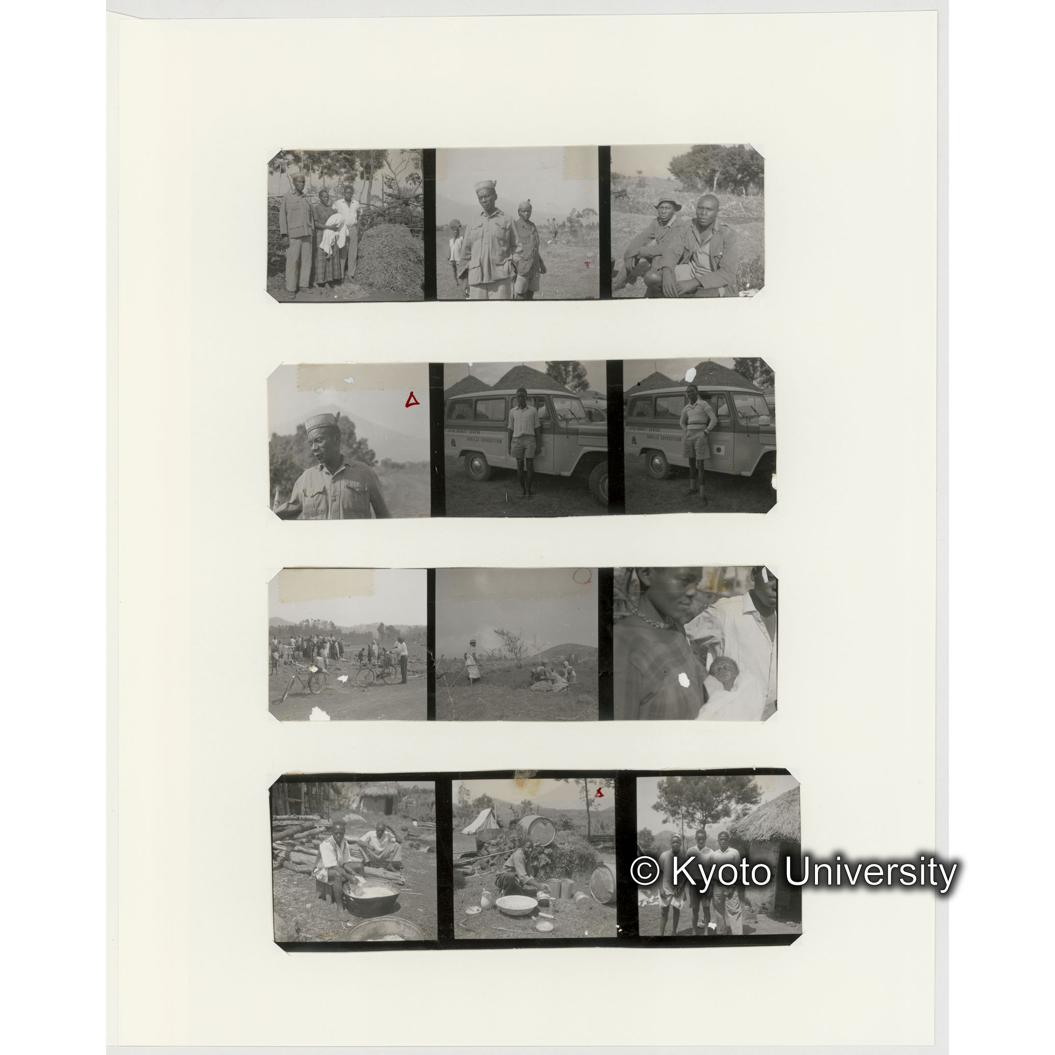 [ネガフィルムスリーブ12]「５４４」 (2)