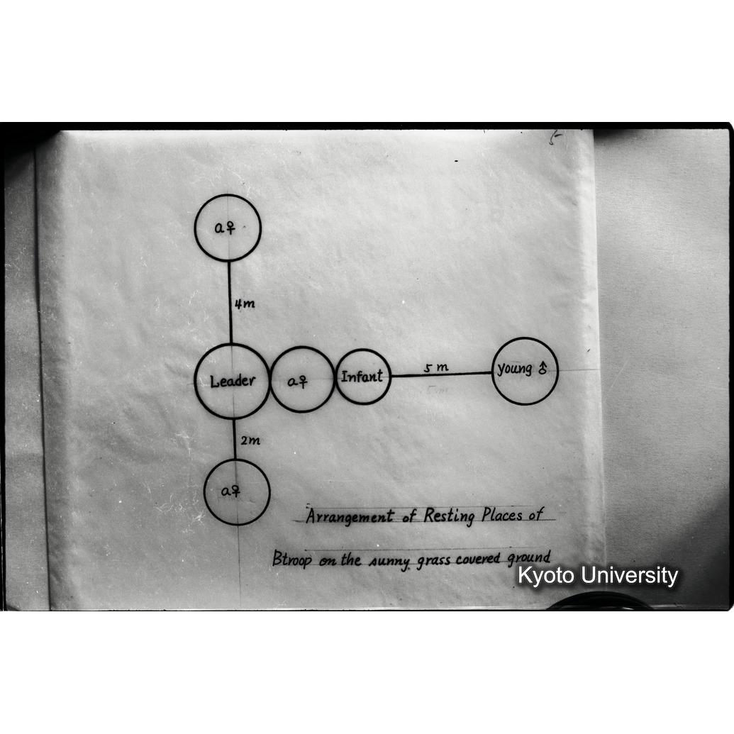 [７コマ目]「資料のまとめ（成果）」 (1)