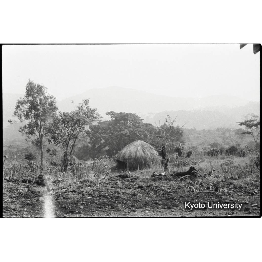 [３１コマ目]「？」 (1)