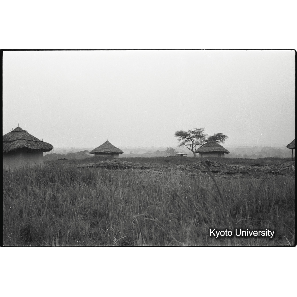 [３４コマ目]「ビワンビラキャンプ」 (1)