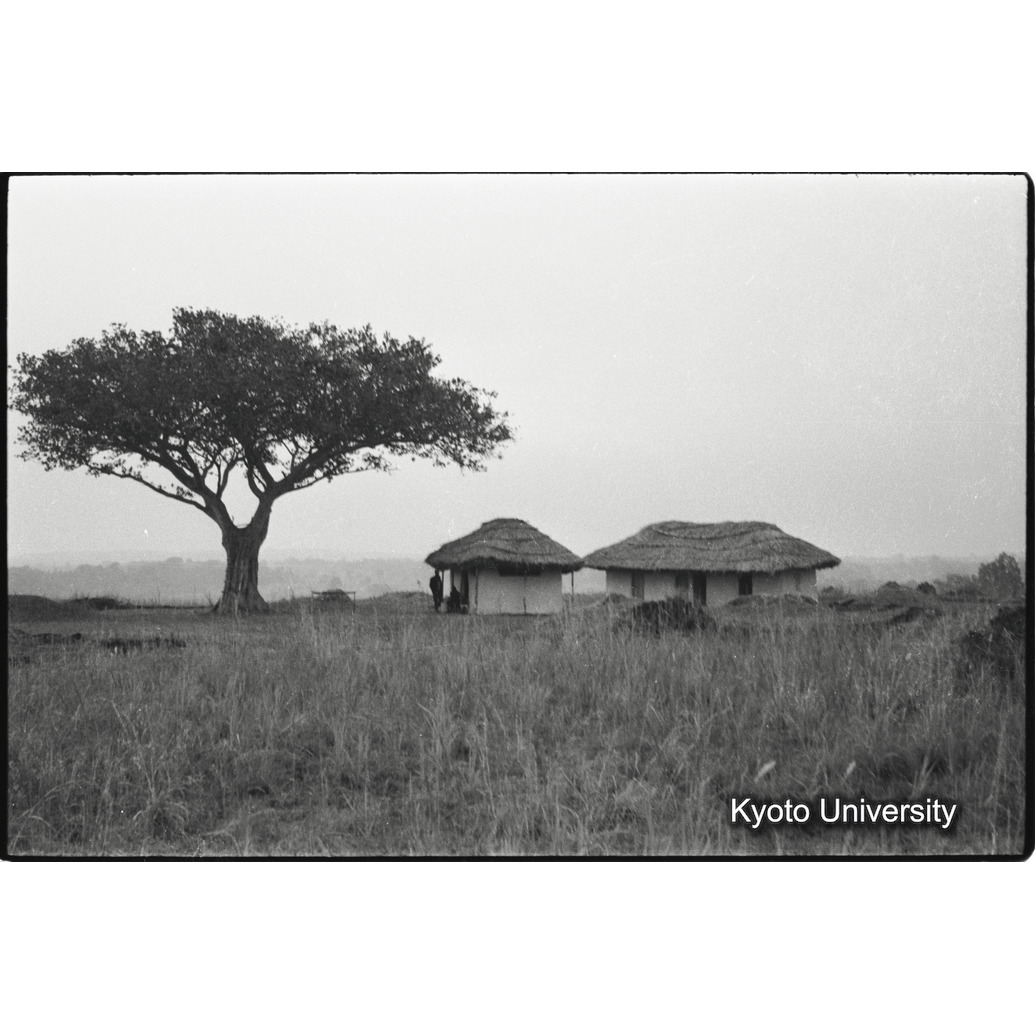 [３５コマ目]「ビワンビラキャンプ」 (1)