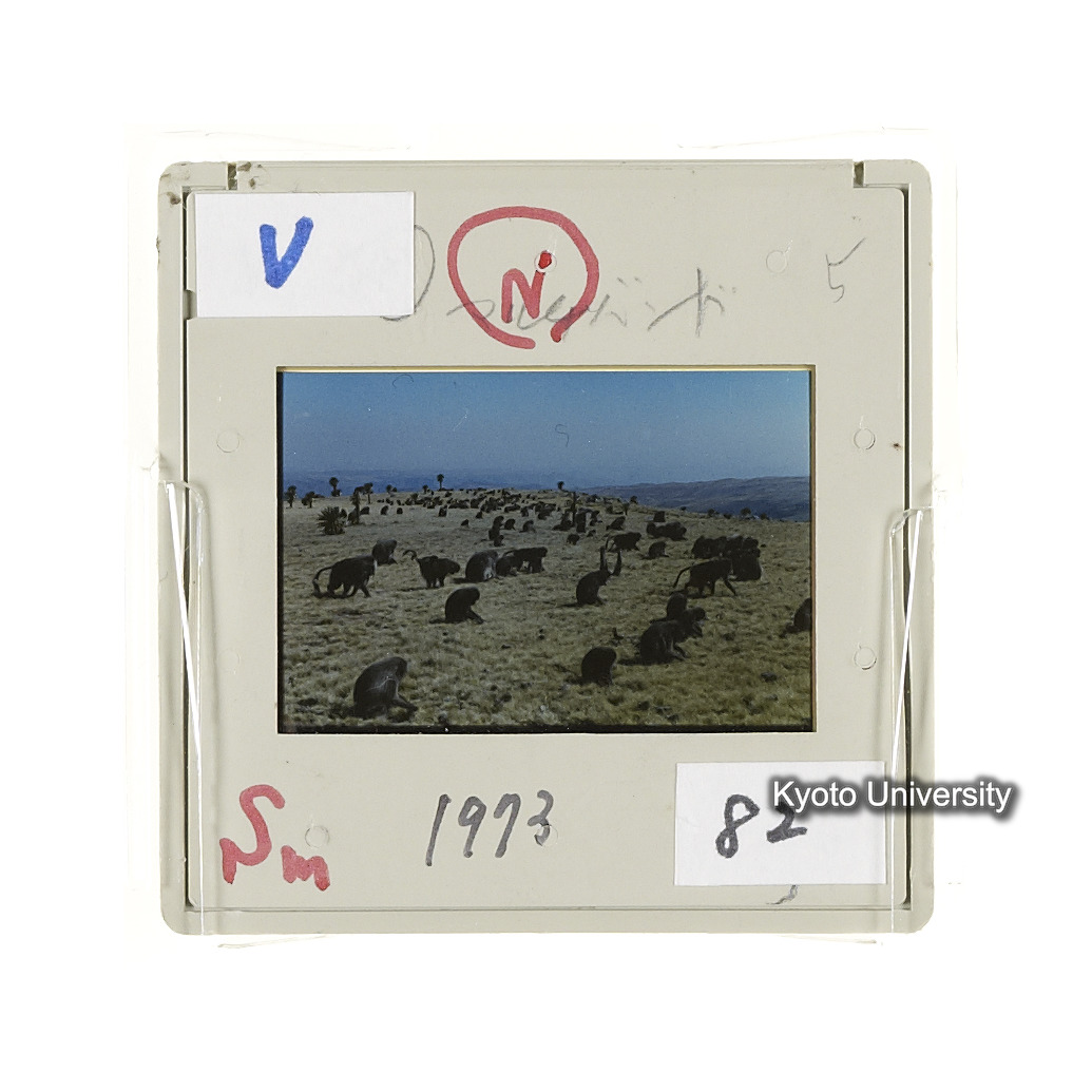 Sm　1973　82　（N）[赤色, 丸囲み] (2)