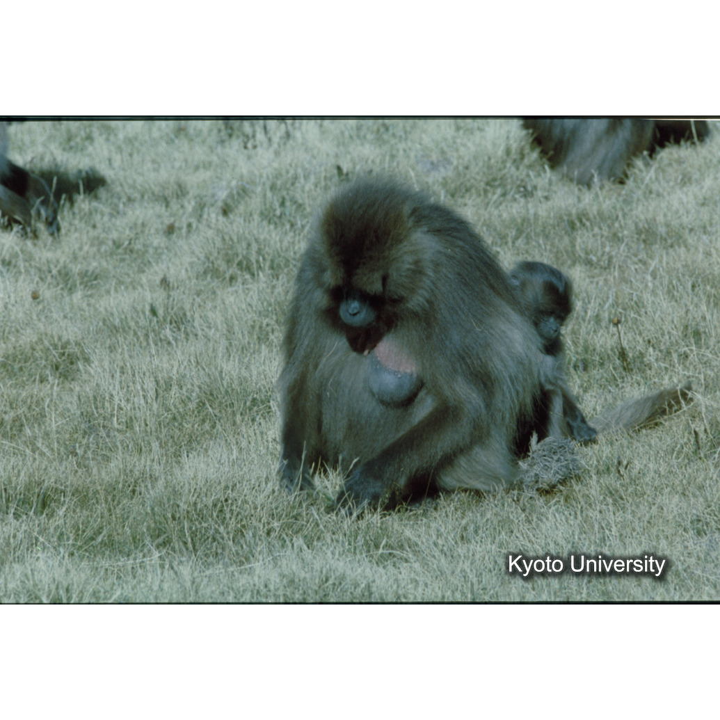 Sm　1973　83　（N）[赤色, 丸囲み] (1)