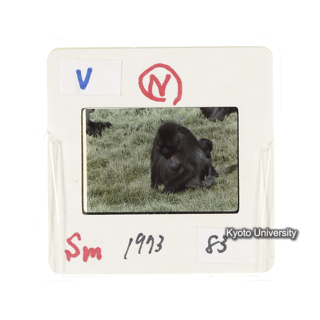 Sm　1973　83　（N）[赤色, 丸囲み] (2)