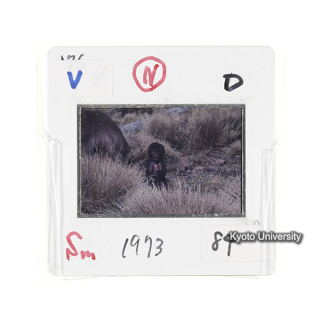 Sm　1973　84　（N）[赤色, 丸囲み] (2)