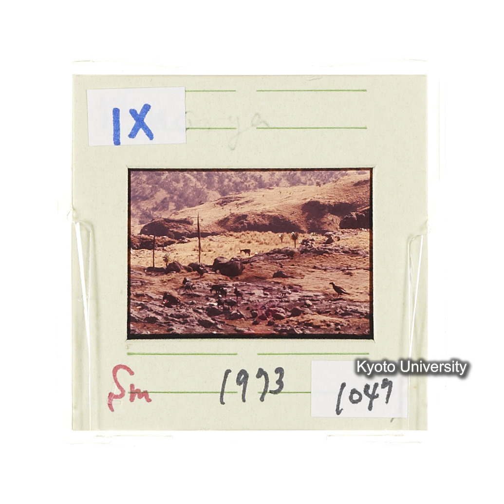 Sm　1973　1047 (2)