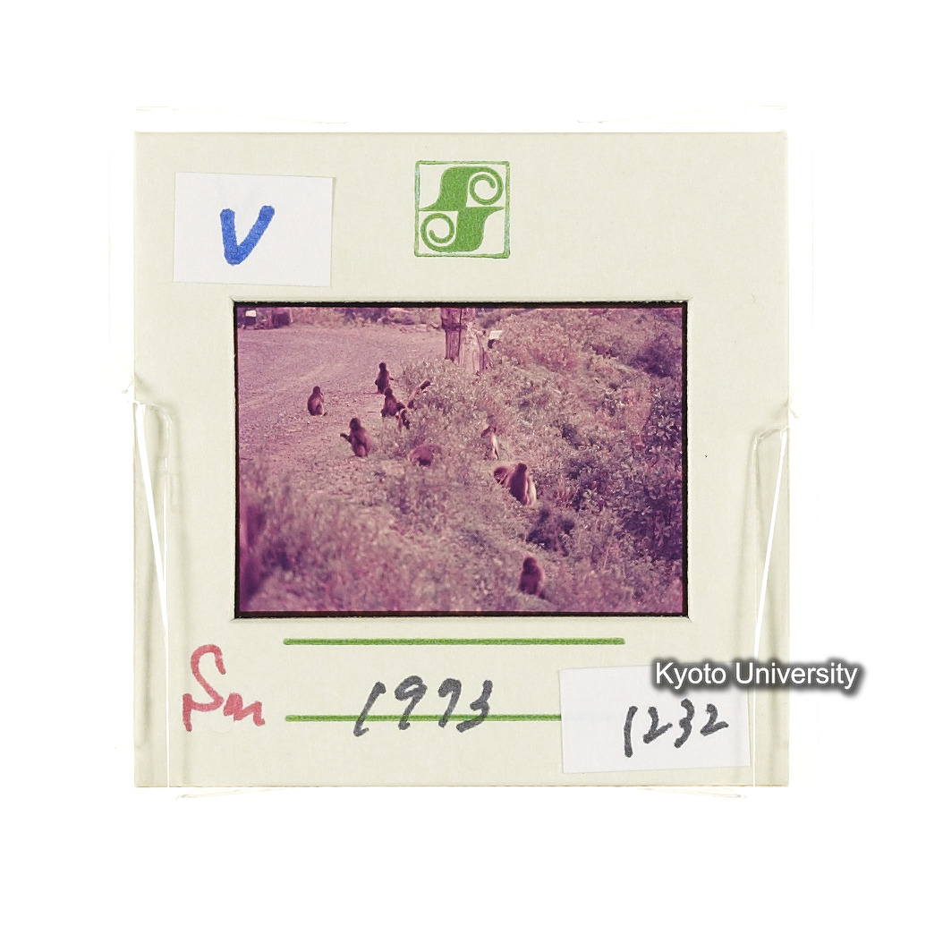 Sm　1973　1232 (2)