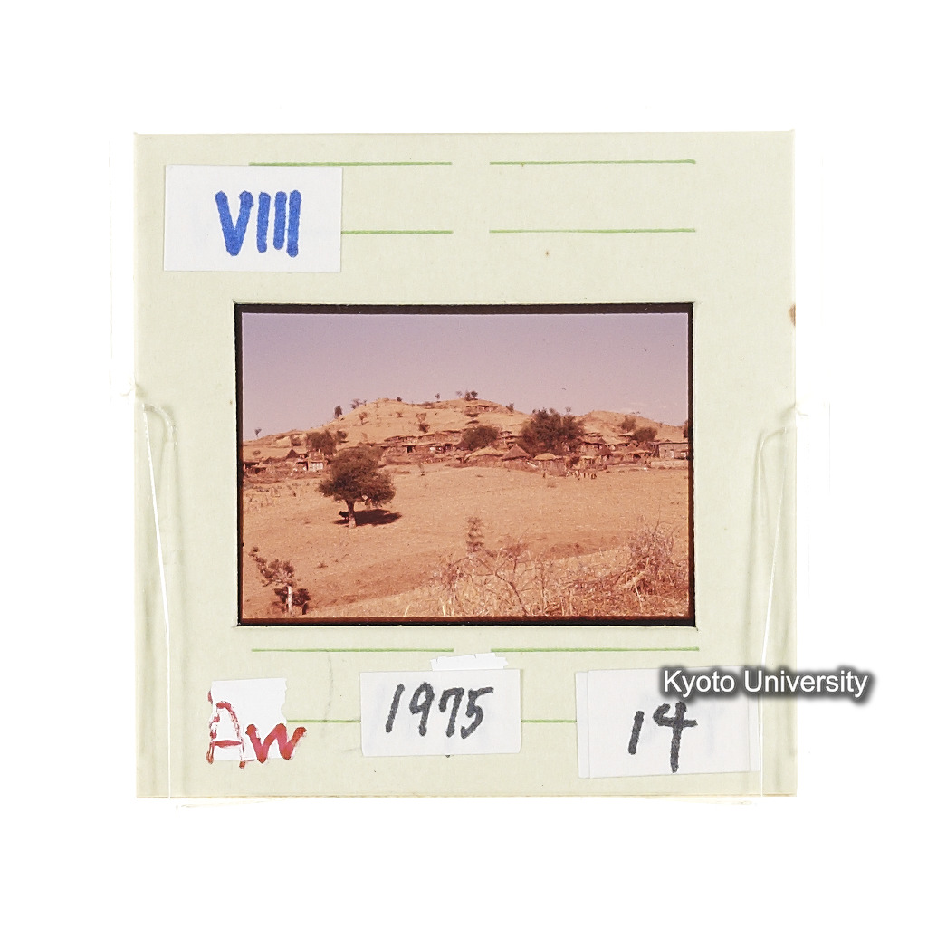 Aw　1975　14 (2)
