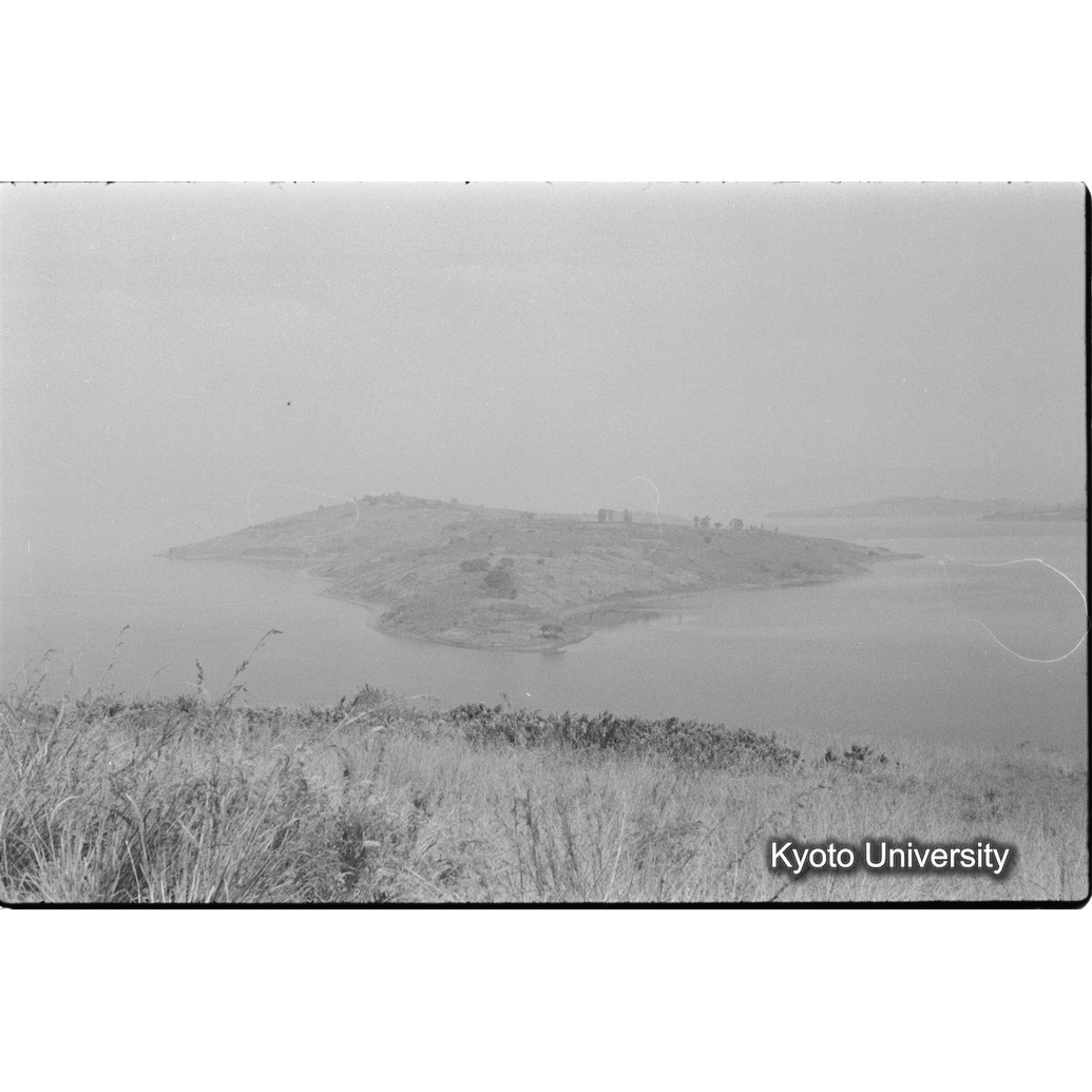 [２２コマ目]「×」 (1)